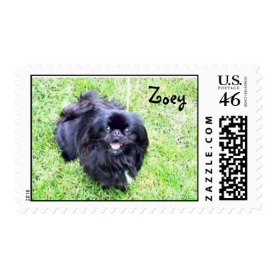 Zoey by bearkat3