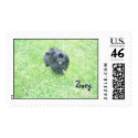 Zoey postage