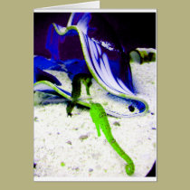 zombie seahorse cards