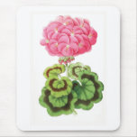 "Zonal Geranium" Vintage Flower Illustration Mouse Pads