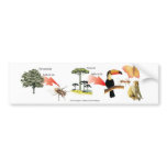 zone of the tropical bush didactic project bumper stickers
