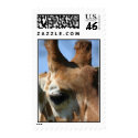 zoo 118 postage by fotografi zoo 118 postage