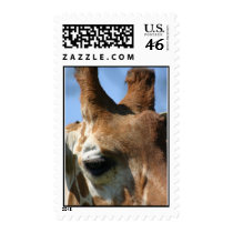 zoo 118 postage