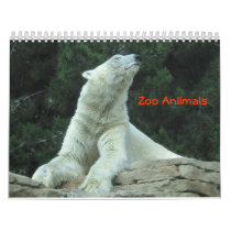 Zoo Anilmals calendars