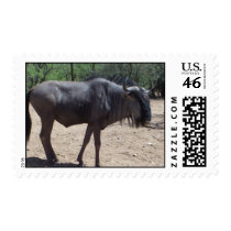 Zoo Animal postage by nickyzzz Zoo Animal postage