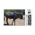 Zoo Animal postage by nickyzzz Zoo Animal postage