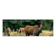 Zoo animals. Chinese proverb about peace in family Business Card