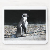 Zoo Animals mousepads by jdowdell Zoo Animals mousepads