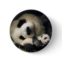 zoo-atlanta_giant_panda_lun-lun_and_cub pin