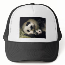 zoo-atlanta_giant_panda_lun-lun_and_cub mesh hats