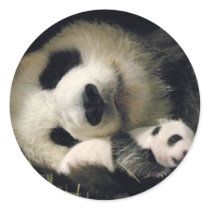 zoo-atlanta_giant_panda_lun-lun_and_cub round stickers