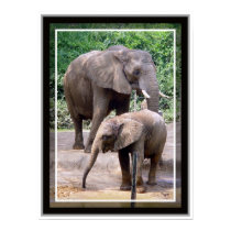 Zoo Baby 3 posters by SweetRascal Zoo Baby 3 posters