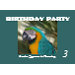 Zoo Birthday Party Invitation invitation