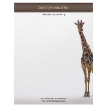 Zoo Business Card Letterhead Design