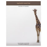 Zoo Business Card Letterhead Design