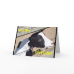 "Zoo Goat" Birthday Card