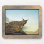 zoo lynx 2