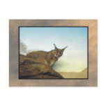 zoo lynx 2