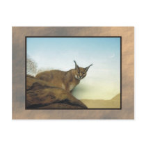 zoo lynx 2 postcards by rockyj zoo lynx 2 postcards