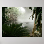 Zoo Rainforest Exhibit posters