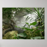 Zoo Rainforest Exhibit Poster