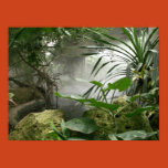 poster, zoo, rainforest, rain forest, flora,