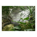 Zoo Rainforest Exhibit Poster posters by Shadowchaser Zoo Rainforest Exhibit Poster posters