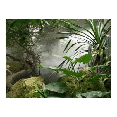 Zoo Rainforest Exhibit Poster by Shadowchaser