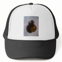 Zoob Trucker Hat
