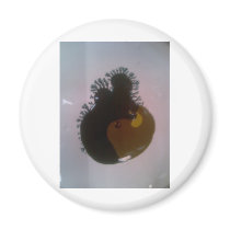 Zoob Fridge Magnet