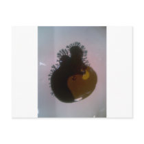 Zoob Post Cards