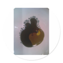 Zoob Round Sticker