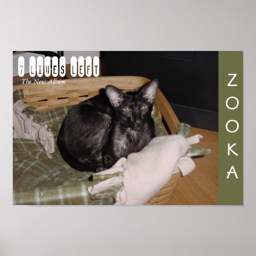 Zooka 2007 poster
