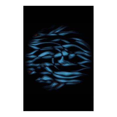Zool Print by Alasika