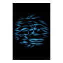 Zool posters