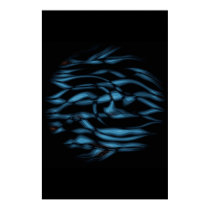 Zool posters by Alasika Zool posters
