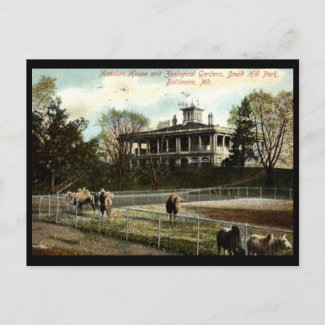 Zoological Gardens, Druid Hill Park, Baltimore Vin postcard