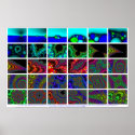 Zooming In On A Newton's Method Fractal posters