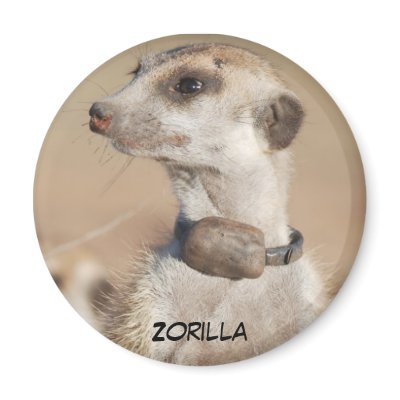 Zorilla Magnet by fkmp_store