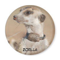 Zorilla Magnet