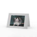 Zorro Greeting Cards