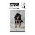 Zorro postage