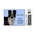 Zorro, Save Lives...SPAY NEUTERADOPT! postage