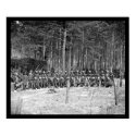 Zouaves Infantry 1864 posters