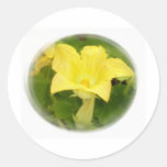 Zucchini Blossom in Swirl Stickers
