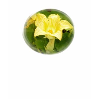 Zucchini Blossom in Swirl shirt