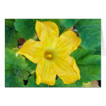 Zucchini Flower Card