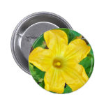 Zucchini Flower Pins