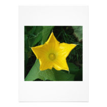 Zucchini Star Flower invitations