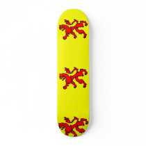 Zuid Holland, Netherlands flag Skate Deck